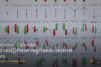 Economic Calendar วิธีอ่านปฏิทินเศรษฐกิจและใช้เทรด Forex
