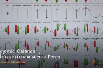 Economic Calendar วิธีใช้และเทรดตามข่าว Forex