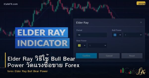 Elder Ray วิธีใช้ Bull Bear Power วัดแรงซื้อขาย Forex