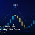 Election ผลการเลือกตั้ง ผลกระทบต่อสกุลเงิน Forex