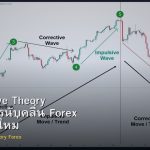 Elliott Wave Theory พื้นฐานการนับคลื่น Forex สำหรับมือใหม่