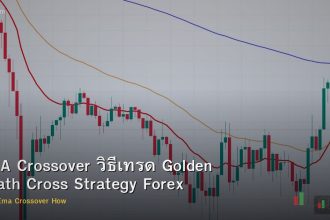 EMA Crossover วิธีเทรด Golden Death Cross Strategy Forex