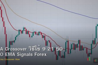 EMA Crossover วิธีใช้ 9 21 50 200 EMA Signals Forex