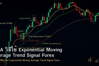 EMA วิธีใช้ Exponential Moving Average Trend Signal Forex