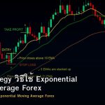 EMA Strategy วิธีใช้ Exponential Moving Average Forex