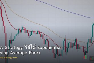 EMA Strategy วิธีใช้ Exponential Moving Average Forex