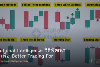 Emotional Intelligence วิธีพัฒนา EQ เพื่อ Better Trading Forex