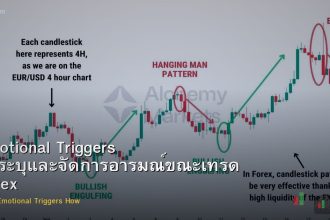 Emotional Triggers วิธีระบุและจัดการอารมณ์ขณะเทรด Forex