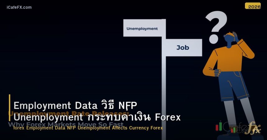 Employment Data วิธี NFP Unemployment กระทบค่าเงิน Forex