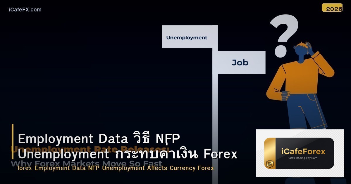 Employment Data วิธี NFP Unemployment กระทบค่าเงิน Forex