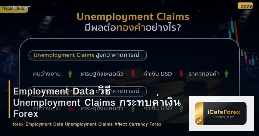 Employment Data วิธี Unemployment Claims กระทบค่าเงิน Forex