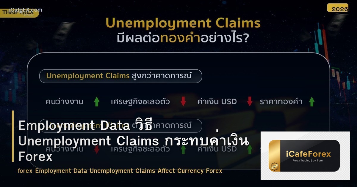 Employment Data วิธี Unemployment Claims กระทบค่าเงิน Forex