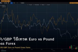 EUR/GBP วิธีเทรด Euro vs Pound Cross Forex