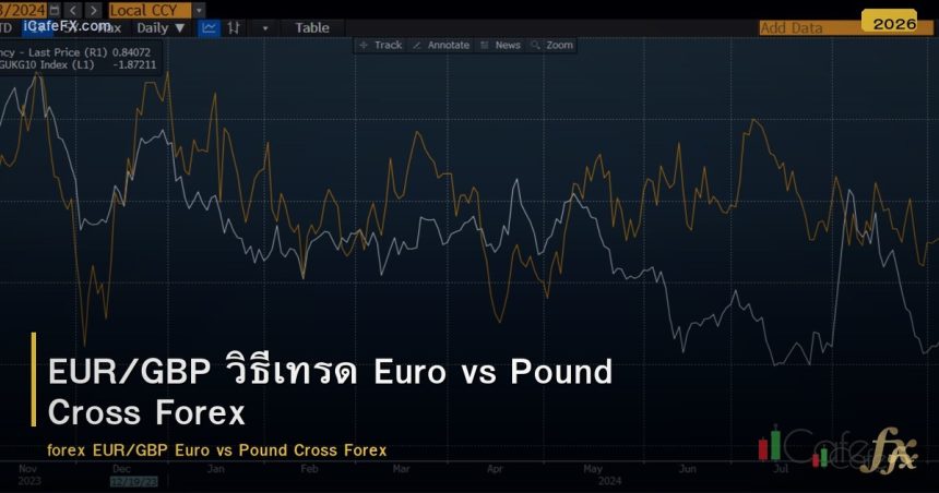 EUR/GBP วิธีเทรด Euro vs Pound Cross Forex