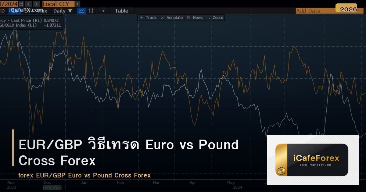 EUR/GBP วิธีเทรด Euro vs Pound Cross Forex