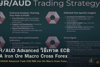 EUR/AUD Advanced วิธีเทรด ECB RBA Iron Ore Macro Cross Forex