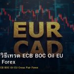 EUR/CAD วิธีเทรด ECB BOC Oil EU Cross Pair Forex