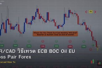 EUR/CAD วิธีเทรด ECB BOC Oil EU Cross Pair Forex
