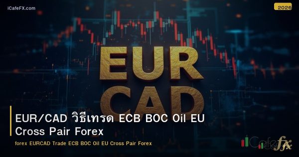 EUR/CAD วิธีเทรด ECB BOC Oil EU Cross Pair Forex