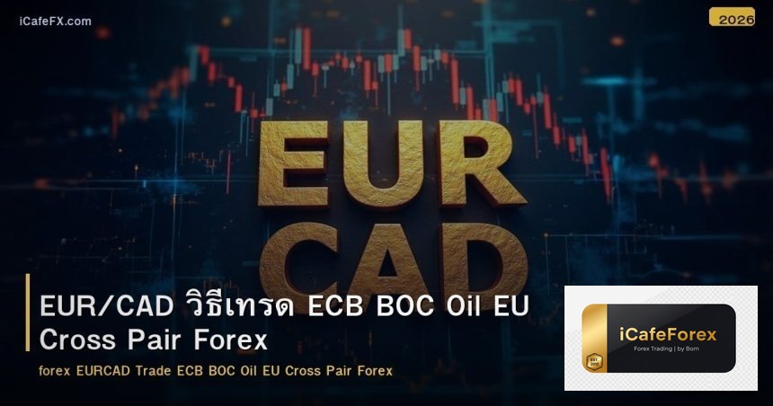 EUR/CAD วิธีเทรด ECB BOC Oil EU Cross Pair Forex