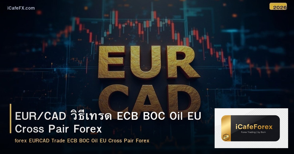 EUR/CAD วิธีเทรด ECB BOC Oil EU Cross Pair Forex