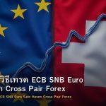 EUR/CHF วิธีเทรด ECB SNB Euro Safe Haven Cross Pair Forex