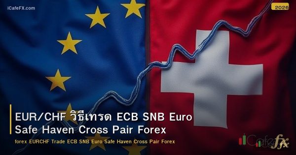 EUR/CHF วิธีเทรด ECB SNB Euro Safe Haven Cross Pair Forex
