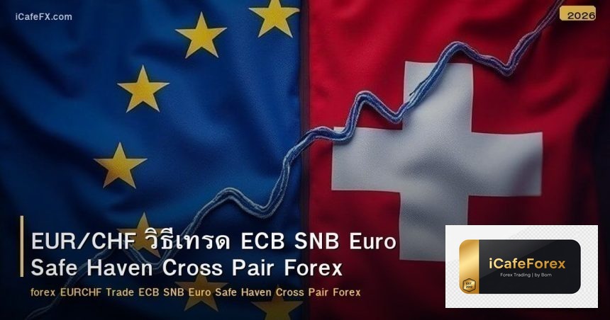 EUR/CHF วิธีเทรด ECB SNB Euro Safe Haven Cross Pair Forex