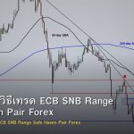 EUR/CHF วิธีเทรด ECB SNB Range Safe Haven Pair Forex