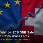 EUR/CHF วิธีเทรด ECB SNB Safe Haven Euro Swiss Cross Forex
