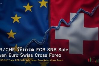 EUR/CHF วิธีเทรด ECB SNB Safe Haven Euro Swiss Cross Forex