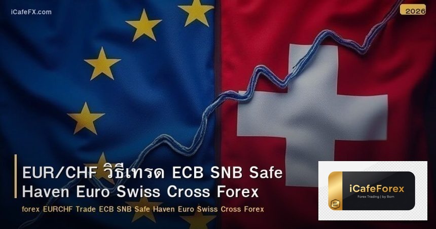 EUR/CHF วิธีเทรด ECB SNB Safe Haven Euro Swiss Cross Forex