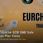 EUR/CHF วิธีเทรด ECB SNB Safe Haven Range Pair Forex