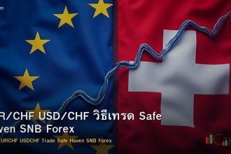 EUR/CHF USD/CHF วิธีเทรด Safe Haven SNB Forex
