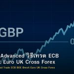 EUR/GBP Advanced วิธีเทรด ECB BOE Brexit Euro UK Cross Forex