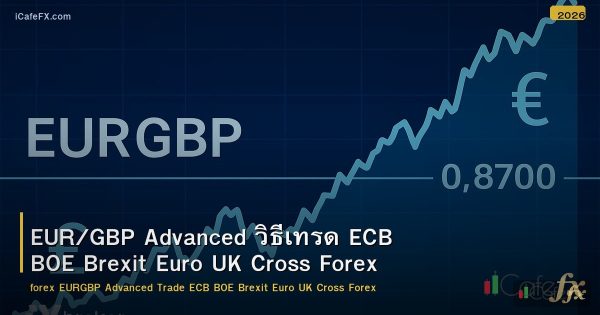 EUR/GBP Advanced วิธีเทรด ECB BOE Brexit Euro UK Cross Forex