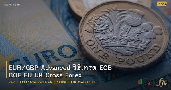 EUR/GBP Advanced วิธีเทรด ECB BOE EU UK Cross Forex