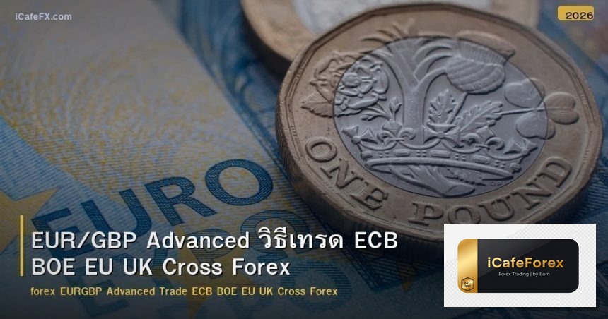 EUR/GBP Advanced วิธีเทรด ECB BOE EU UK Cross Forex