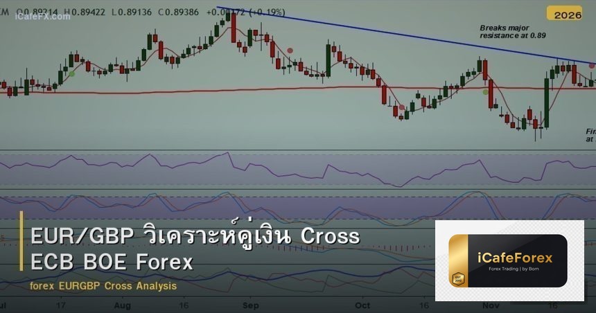 EUR/GBP วิเคราะห์คู่เงิน Cross ECB BOE Forex