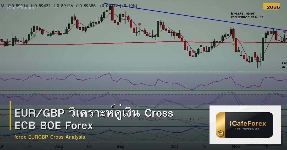 EUR/GBP วิเคราะห์คู่เงิน Cross ECB BOE Forex