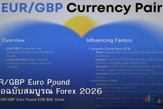 EUR/GBP Euro Pound คู่มือฉบับสมบูรณ์ Forex 2026