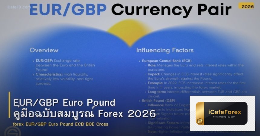 EUR/GBP Euro Pound คู่มือฉบับสมบูรณ์ Forex 2026