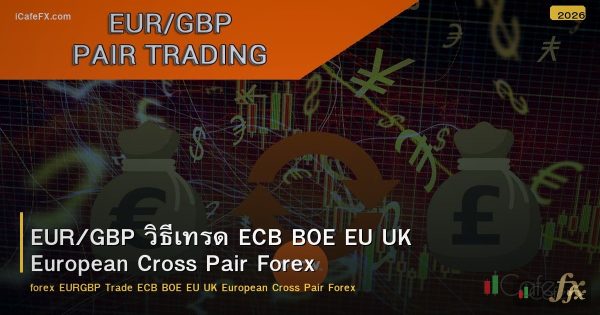 EUR/GBP วิธีเทรด ECB BOE EU UK European Cross Pair Forex