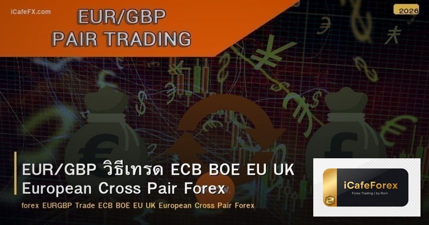 EUR/GBP วิธีเทรด ECB BOE EU UK European Cross Pair Forex