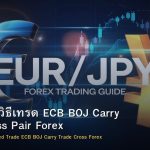 EUR/JPY วิธีเทรด ECB BOJ Carry Trade Cross Pair Forex