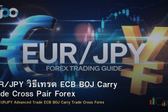 EUR/JPY วิธีเทรด ECB BOJ Carry Trade Cross Pair Forex