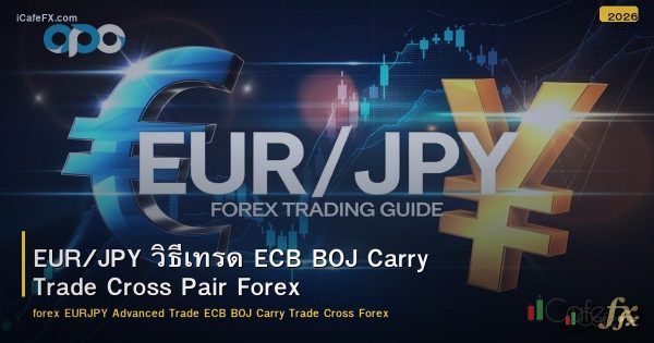 EUR/JPY วิธีเทรด ECB BOJ Carry Trade Cross Pair Forex