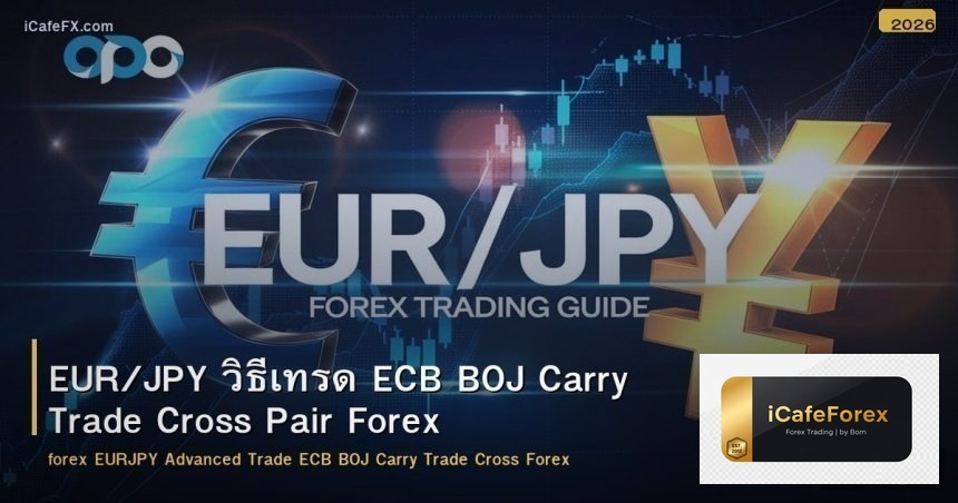 EUR/JPY วิธีเทรด ECB BOJ Carry Trade Cross Pair Forex