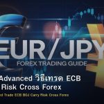 EUR/JPY Advanced วิธีเทรด ECB BOJ Carry Risk Cross Forex