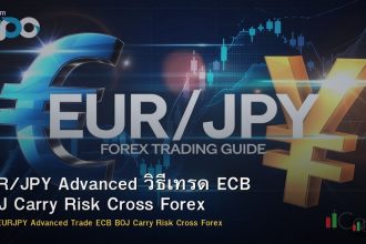 EUR/JPY Advanced วิธีเทรด ECB BOJ Carry Risk Cross Forex